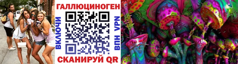 Купить где Темников Галлюциногенные грибы Psilocybine cubensis